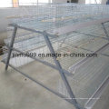 a Type Auutomatic Broiler Poultry Equipment Chicken Cage with High Quality